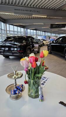 BYD Schauraum Ostern